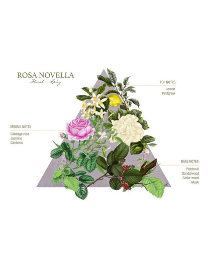 Rosa Novella 100ml EDC