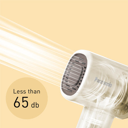 Panasonic ionity High Speed Linear Airflow Hair Dryer