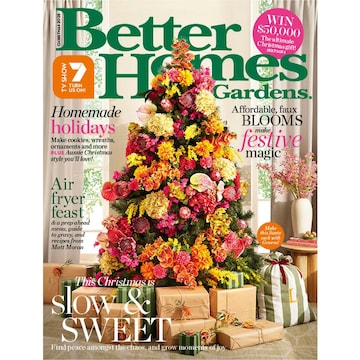 Better Homes & Gardens Magazine each