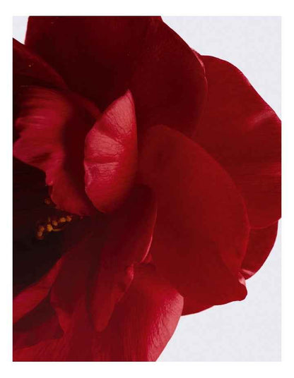 N°1 DE CHANEL L'EAU ROUGE Revitalising Fragrance Mist