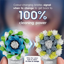 Oral-B Everyday Clean Electric Toothbrush Replacement Brush Heads (4 Pack)