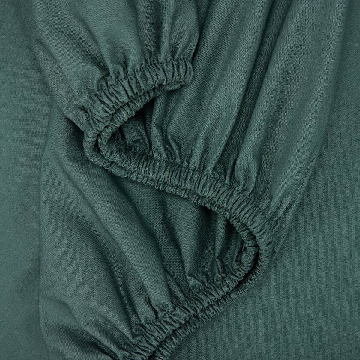 250 Thread Count Cotton Rich Fitted Sheet - Double Bed, Teal