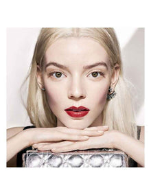 Dior Addict Lipstick Fashion Case