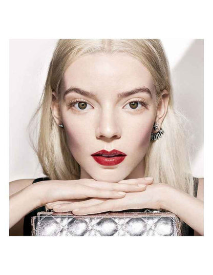 Dior Addict Lipstick Fashion Case