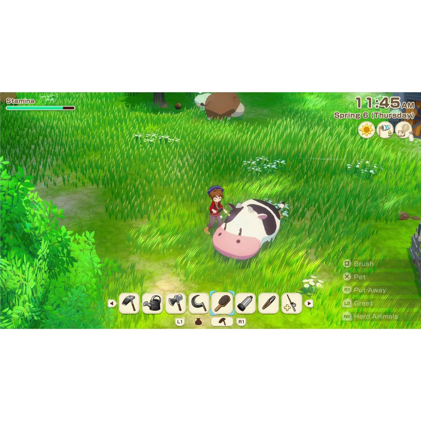 STORY OF SEASONS: Grand Bazaar
