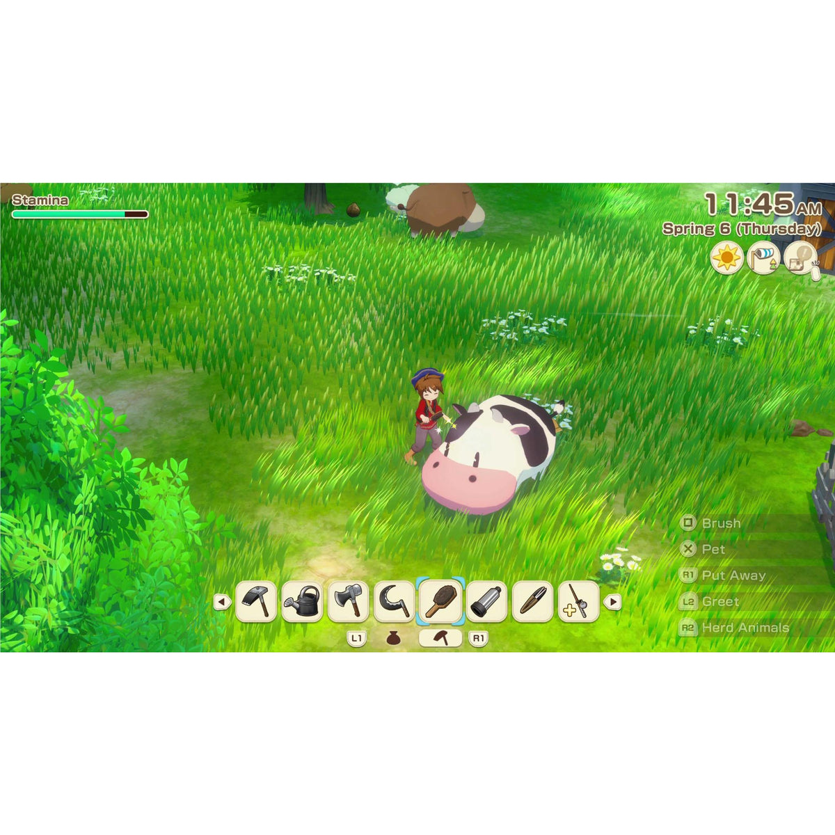 STORY OF SEASONS: Grand Bazaar