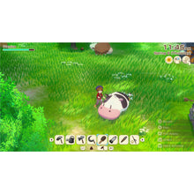 STORY OF SEASONS: Grand Bazaar