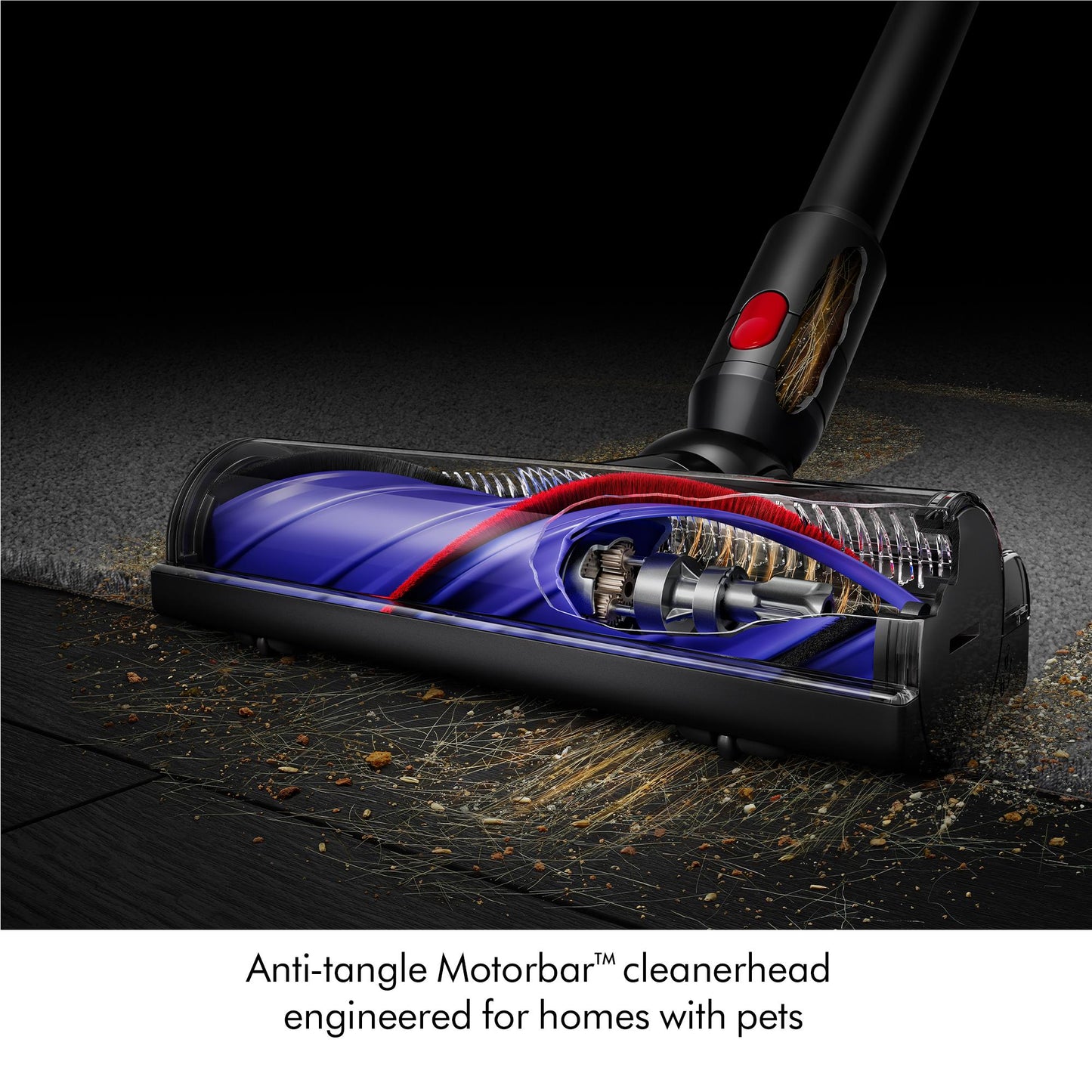 Dyson V8 Cyclone