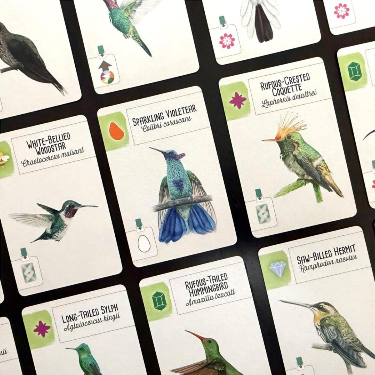 Wingspan - Americas Expansion Board Game