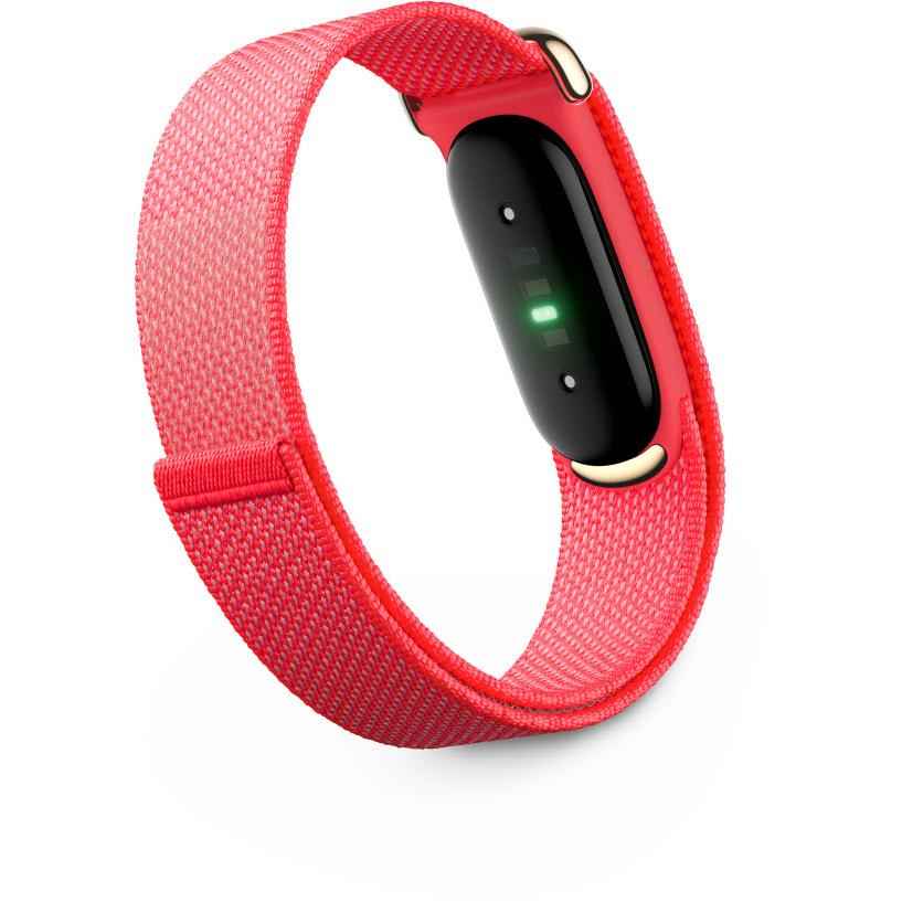 Google Fitbit Air (Berry)