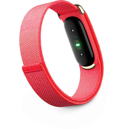Google Fitbit Air (Berry)