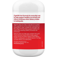 Nature's Way Iron Daily Value Pack Tablets 120 pack