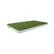 Pet Potty Mat