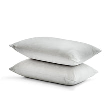 2 Pack Charcoal Infused Anti Allergy Pillows