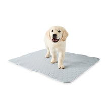 Puppy Pad Reusable 2 Pack