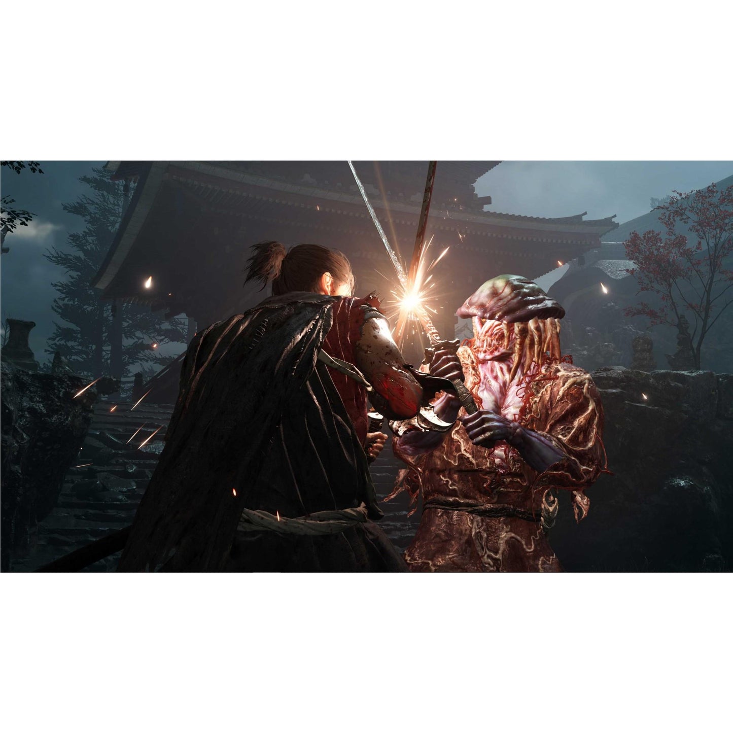 Onimusha: Way of the Sword