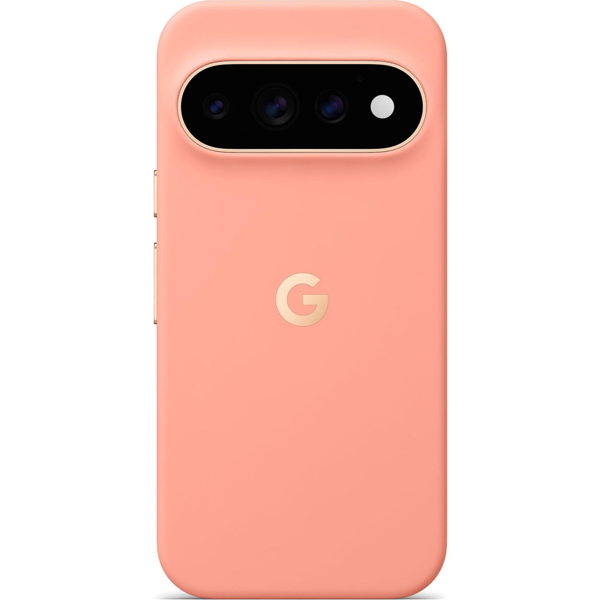 Google Pixelsnap Case