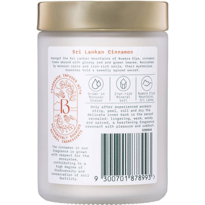 Botanica Origins Sri Lankan Cinnamon Candle 250g