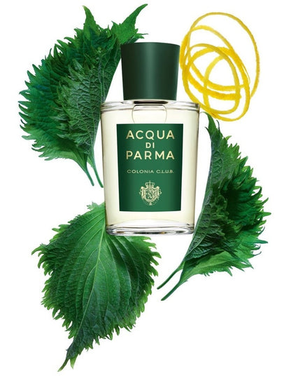 Colonia C.L.U.B. Eau de Parfum 100ml