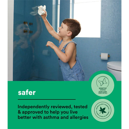 Koh Surface Cleaning Starter Kit each