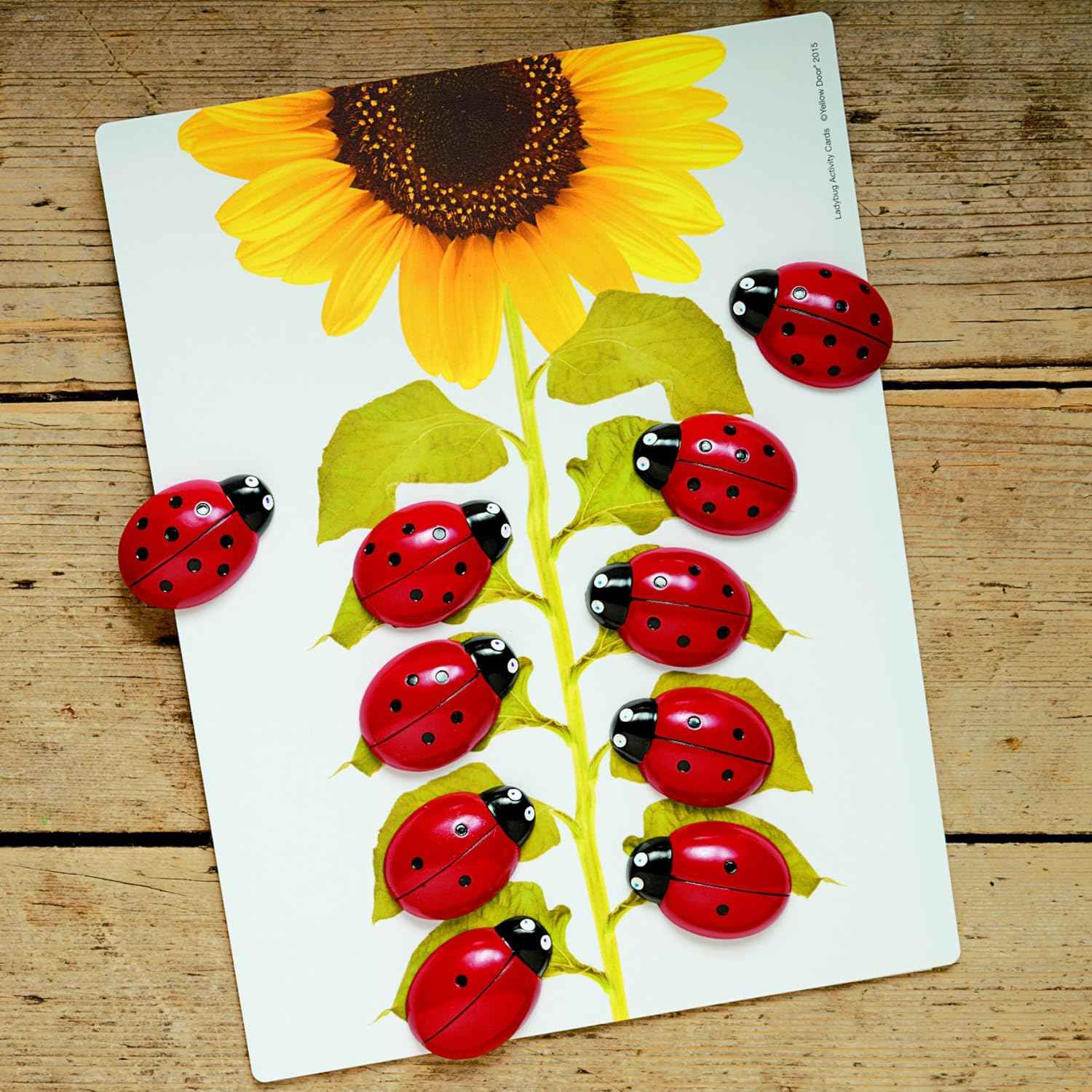 Yellow Door Ladybug Counting Cards Early Math Games for Kids for 3yrs+