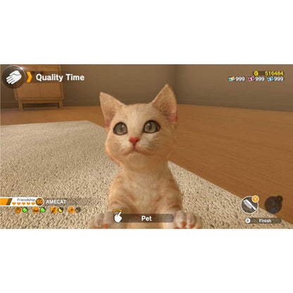 Little Friends: Dogs & Cats (Code in Box)