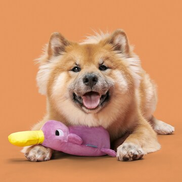 Bark Platypus Dog Toy each