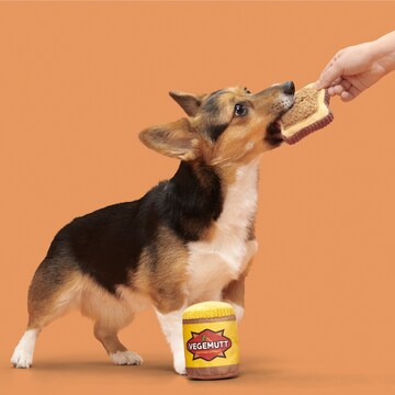 Bark Vegemutt Dog Toy each