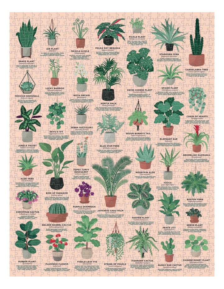 House of Plants 1000 Piece Jigsaw Puzzle