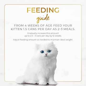 Fancy Feast Kitten Classic Pate Tender Chicken Wet Cat Food 85g