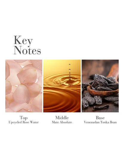 White Tea Body Water Cream