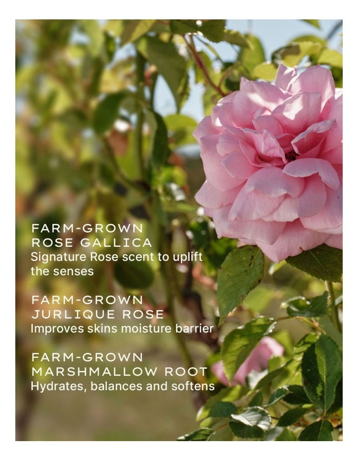 Rare Rose Lotion 50ml