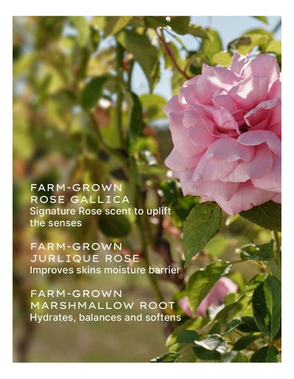 Rare Rose Serum 30ml