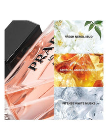 Paradoxe EDP Refill 100ml