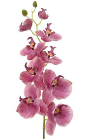 Orchid Phalaenopsis Spray 74cm in Pink