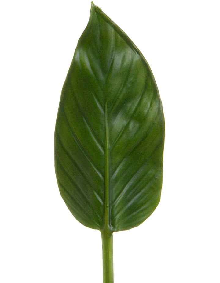Colocasia Leaf 48cm in Green