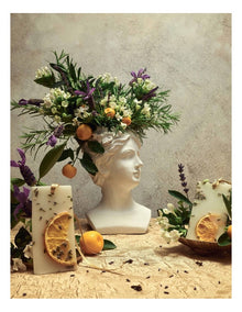 Acqua della Regina Scented Wax Tablets