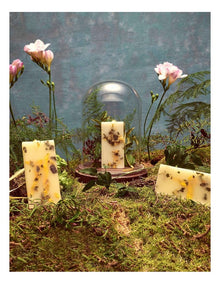 Fresia Scented Wax Tablets