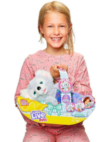 Cozy Dozy Kip The Koala