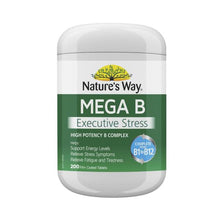 Mega B Executive Stress