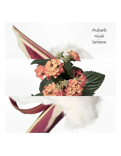 Eau de Rhubarbe &#201;carlate Scented Soap 100g