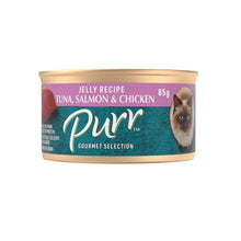 PURR CAT FOOD FLAKE TUNA SALMON JELLY