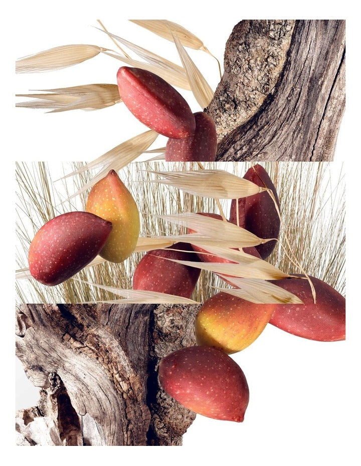 Un Jardin à Cythère Eau de Toilette 100ml