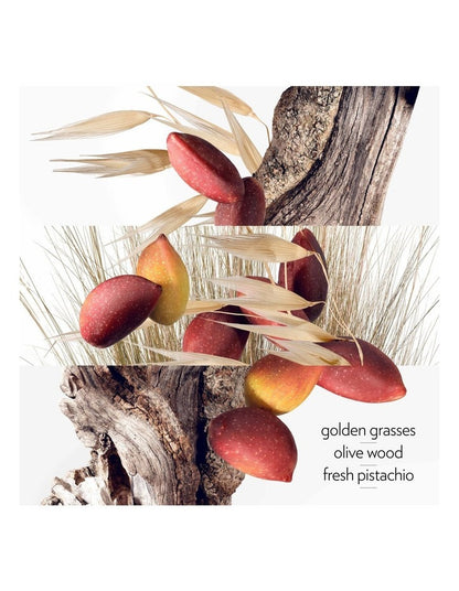 Jardin Collection Nomad Set 4 x 15ml