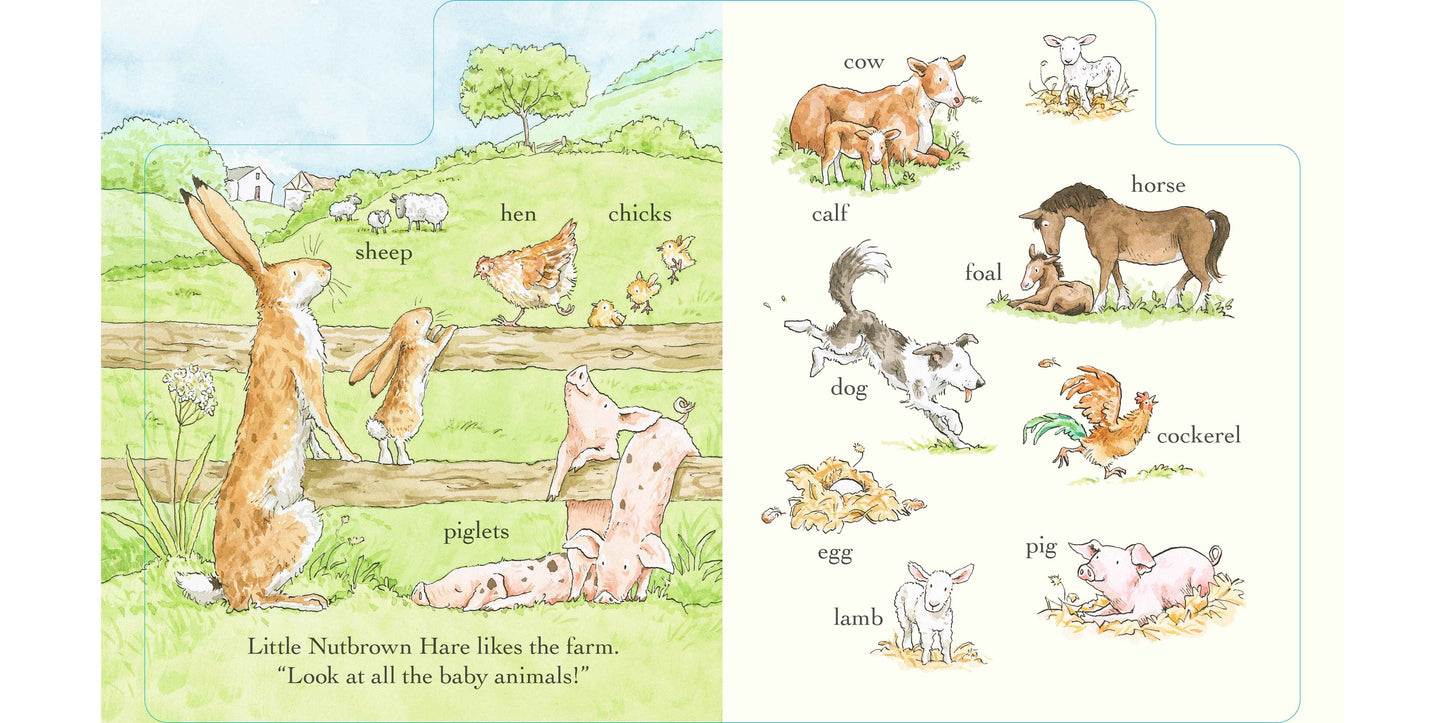 Guess How Much I Love You Out and About in 100 words (Board Book) by Sam McBratney Kids Picture Book