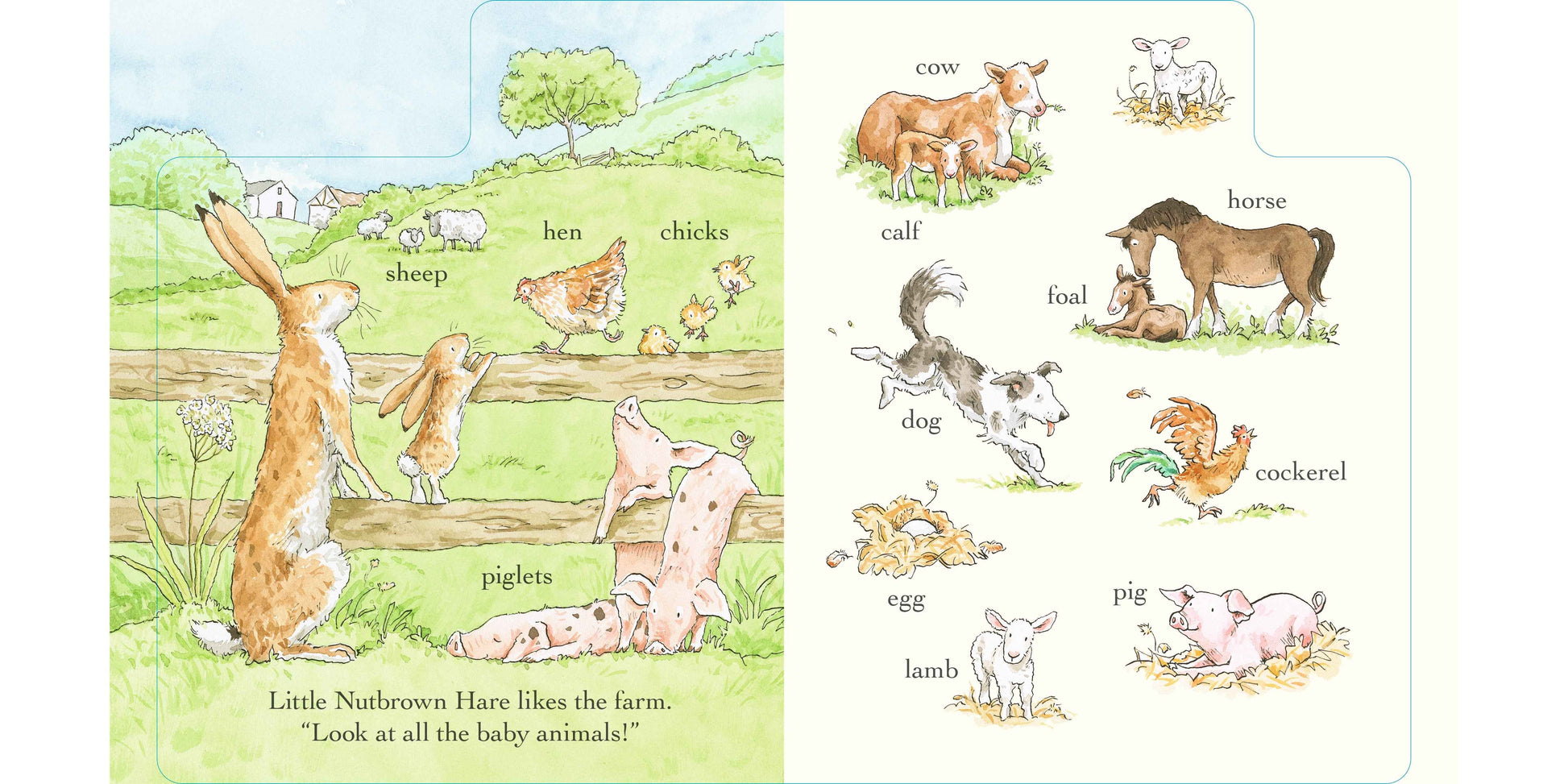 Guess How Much I Love You Out and About in 100 words (Board Book) by Sam McBratney Kids Picture Book