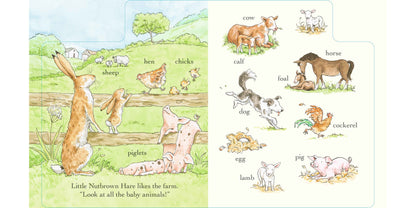 Guess How Much I Love You Out and About in 100 words (Board Book) by Sam McBratney Kids Picture Book