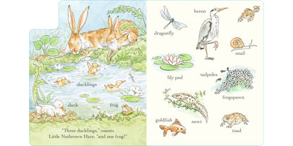 Guess How Much I Love You Out and About in 100 words (Board Book) by Sam McBratney Kids Picture Book