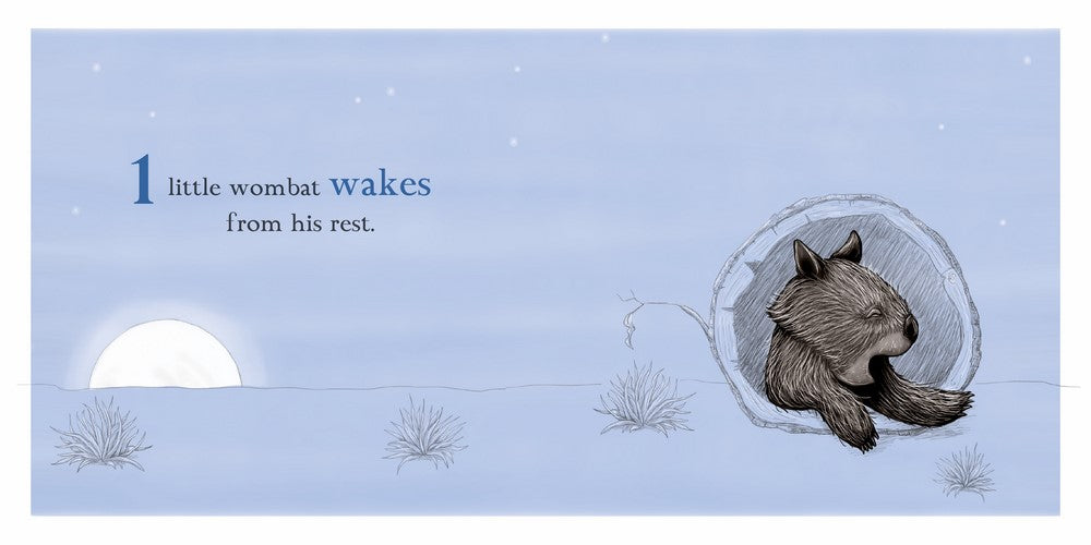 Ten Little Owls (Board Book) by Renee Treml Kids Picture Book Australian Authors