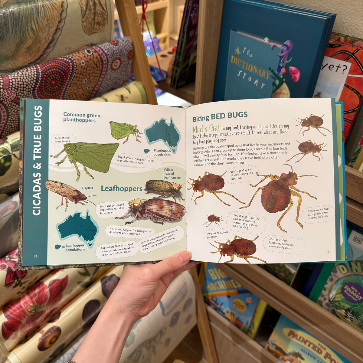 What's That? Australian Insects (Hardcover) by Myke Mollard Kids Book